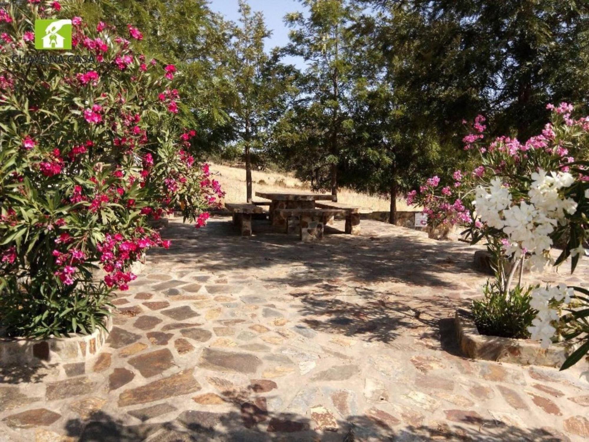 Casa Bonecas Farelos de Baixo